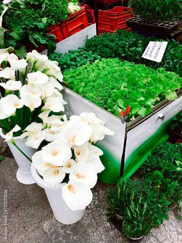 Fresh market in italy with salads and liliac photo