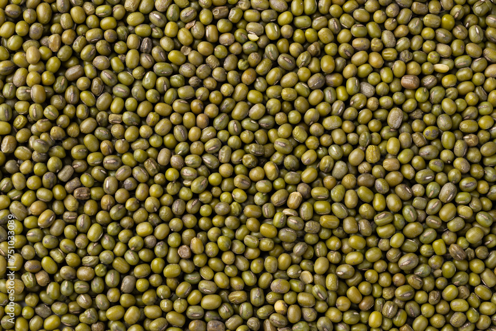 Closeup, top view of moyashi beans. Food backdrop Closeup, top view of moyashi beans. Food backdrop