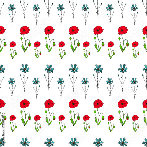 Seamless pattern of Knapweed  Centaurea and Poppy flower with stems and leaves. Colorful plants on white background in engraving vintage style. Botanical hand drawn illustration