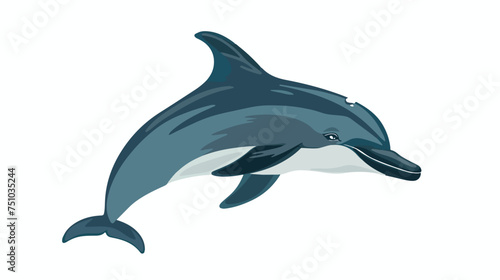 Cute dolphin silhouette icon isolated on white backg