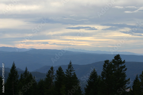 Fototapeta Naklejka Na Ścianę i Meble -  photograph in shades of blue of vast national forest and mountains with a gray blue cloudy sky for background element for designs