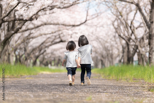 桜並木の公園で遊んでいる姉妹 photo