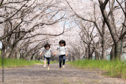 桜並木の公園で遊んでいる姉妹 © kai