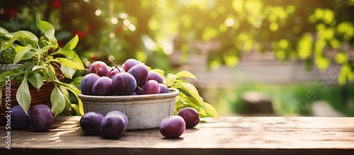 A bowl filled with colorful plums is placed on a wooden table. The plums look ripe and fresh, contrasting against the rustic backdrop. The setting appears to be outdoors, with a hint of a sunny garden