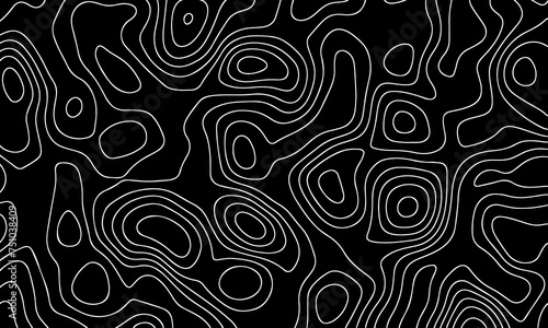 Vector pattern topographic map. Very suitable for mapping needs  background design  geology  geography  and so on