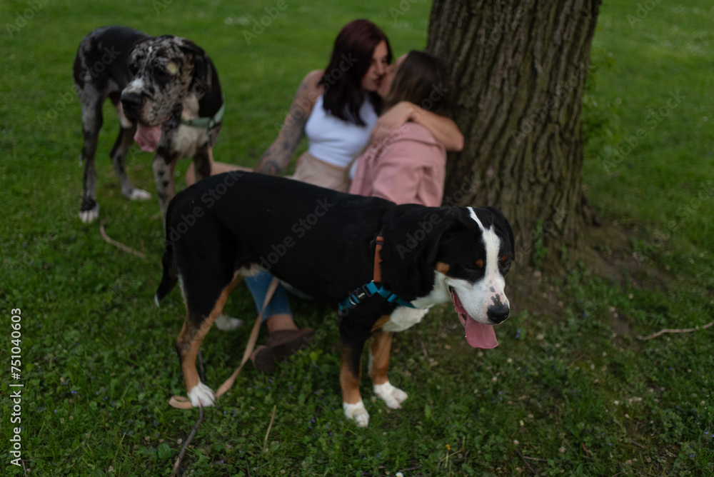 Beautiful lesbian couple playing with their dogs at the park Beautiful lesbian couple playing with their dogs at the park