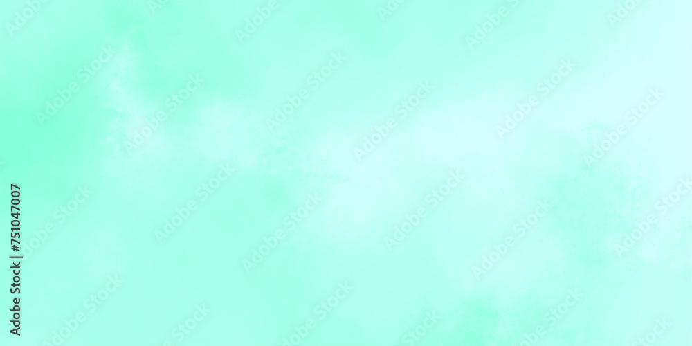 Mint smoke isolated realistic fog or mist.spectacular abstract,cloudscape atmosphere vintage grunge.for effect transparent smoke,vector cloud.brush effect.vector illustration misty fog.
