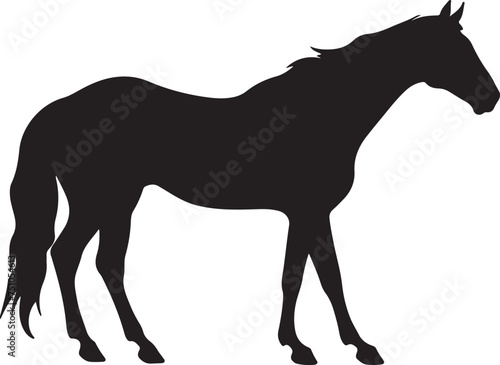 Horse Silhouette Vector Illustration White Background