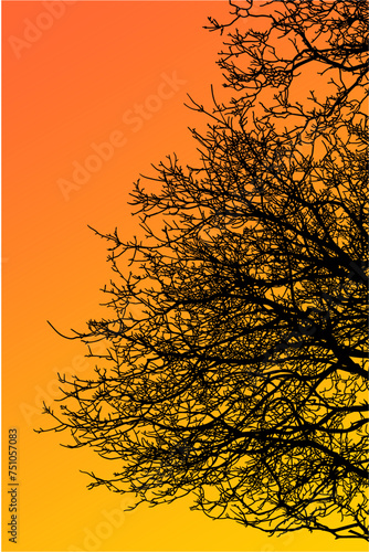 ramas, arboles, siluetas, vegetacion, roble, bosque, paisaje, vector, hojas, abstracto, sauce, tronco, malesa, pegatina