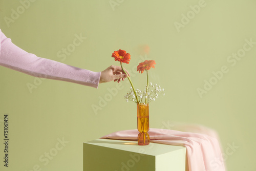 Female hand and vase with beautiful gerbera daisy on color background