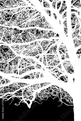 ramas, arboles, siluetas, vegetacion, roble, bosque, paisaje, vector, hojas, abstracto, sauce, tronco, malesa, pegatina