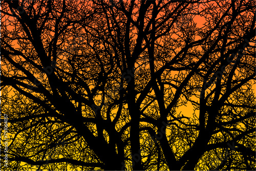 ramas, arboles, siluetas, vegetacion, roble, bosque, paisaje, vector, hojas, abstracto, sauce, tronco, malesa, pegatina