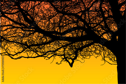 ramas, arboles, siluetas, vegetacion, roble, bosque, paisaje, vector, hojas, abstracto, sauce, tronco, malesa, pegatina