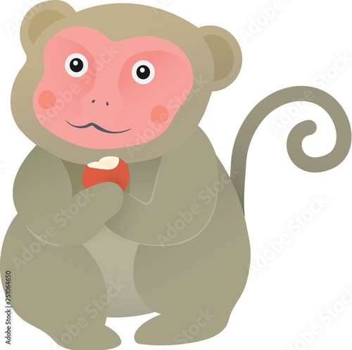 Taiwanese macaque illustration
