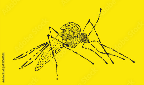 DENGUE MOSQUITO ILLUSTRATION