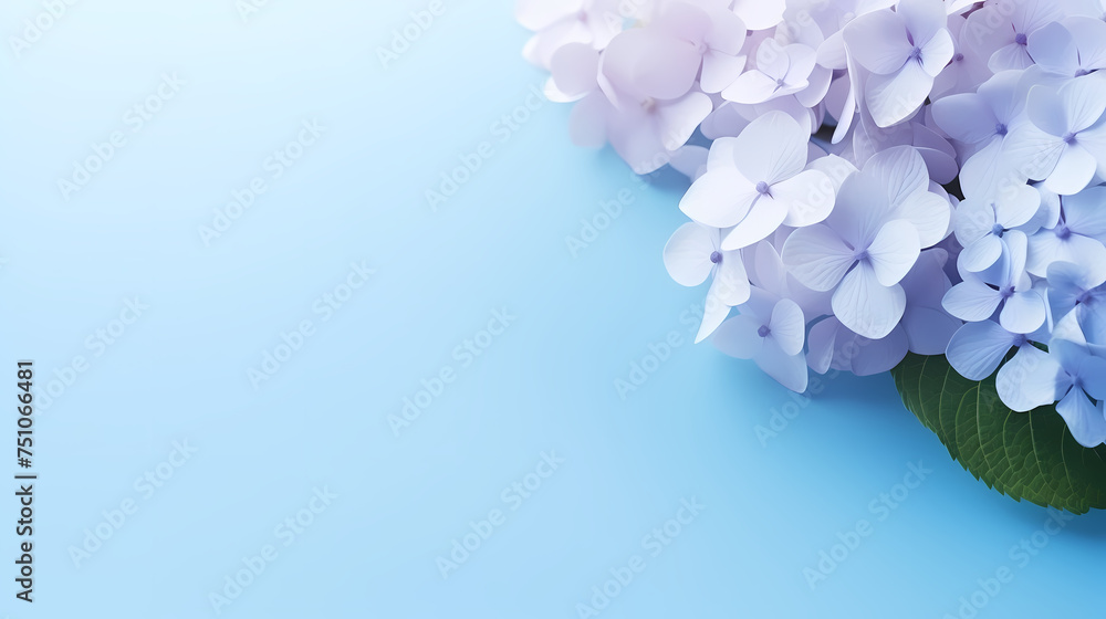 Floral background, spring concept Floral background, spring concept