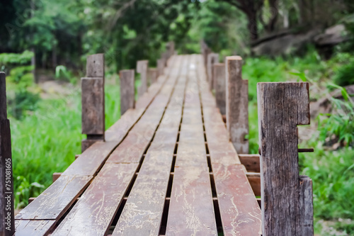 wooden bridge in the forest © Dearr