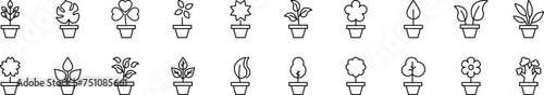 Set of line icons of pot plant. Editable stroke. Simple outline sign for web sites, newspapers, articles book