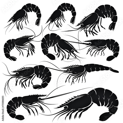 set of silhouette shrimp on white