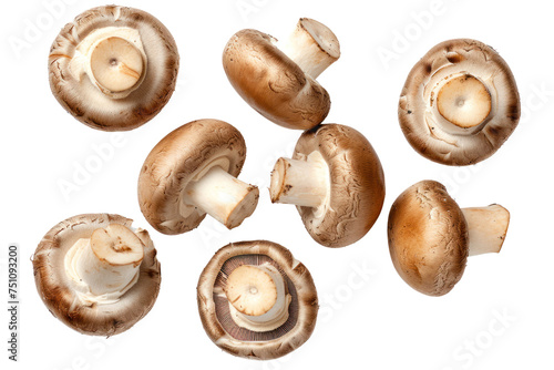 Top view. Collection of shiitake mushrooms isolated on transparent background.