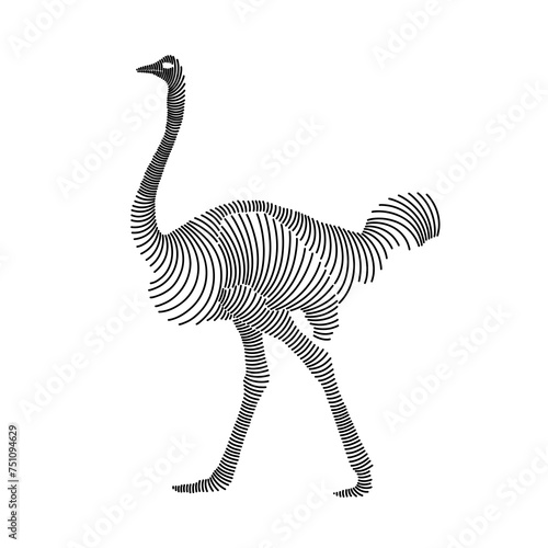 Simple line art illustration of an ostrich 2
