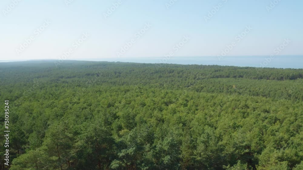 A panoramic view from the top of the Stilo lighthouse, overlooking the lush green forest and the Baltic sea. Static shot. A panoramic view from the top of the Stilo lighthouse, overlooking the lush green forest and the Baltic sea. Static shot.