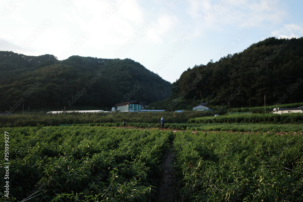 Naklejka premium Korea, Korean Style, Korean Small town, korean countryside, Korean nature