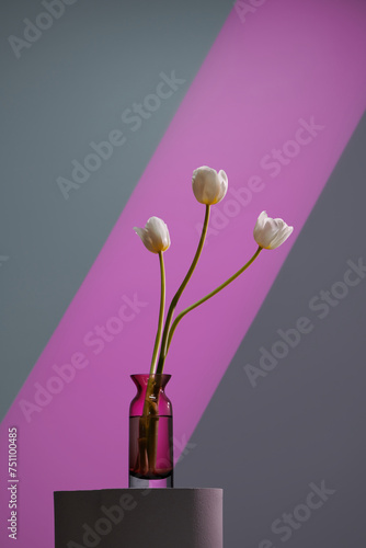 White tulip flower head with green stem in glass transparent photo