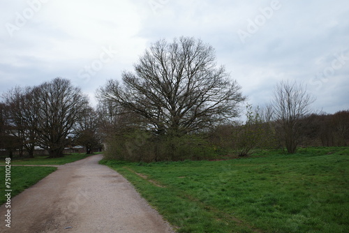 Wimbledon Park, UK, London, Winter