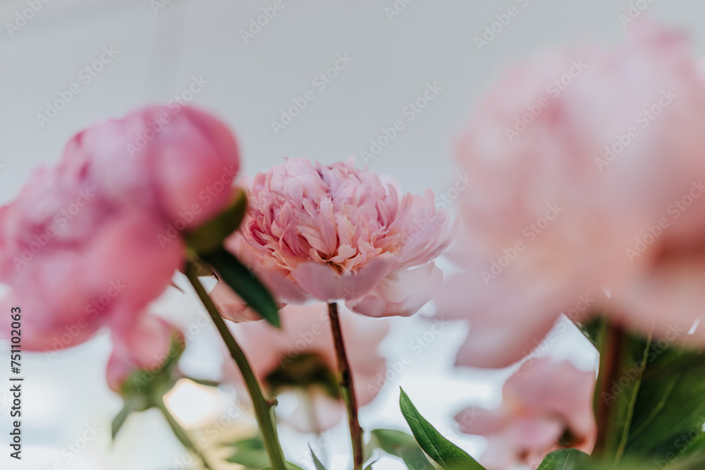 Fresh pretty pink hydrangea in a floral bouquet Fresh pretty pink hydrangea in a floral bouquet