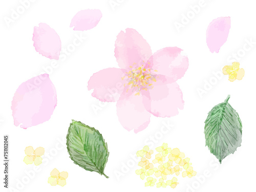 桜の水彩風モチーフ