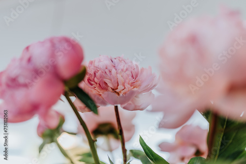 Fresh pretty pink hydrangea in a floral bouquet photo