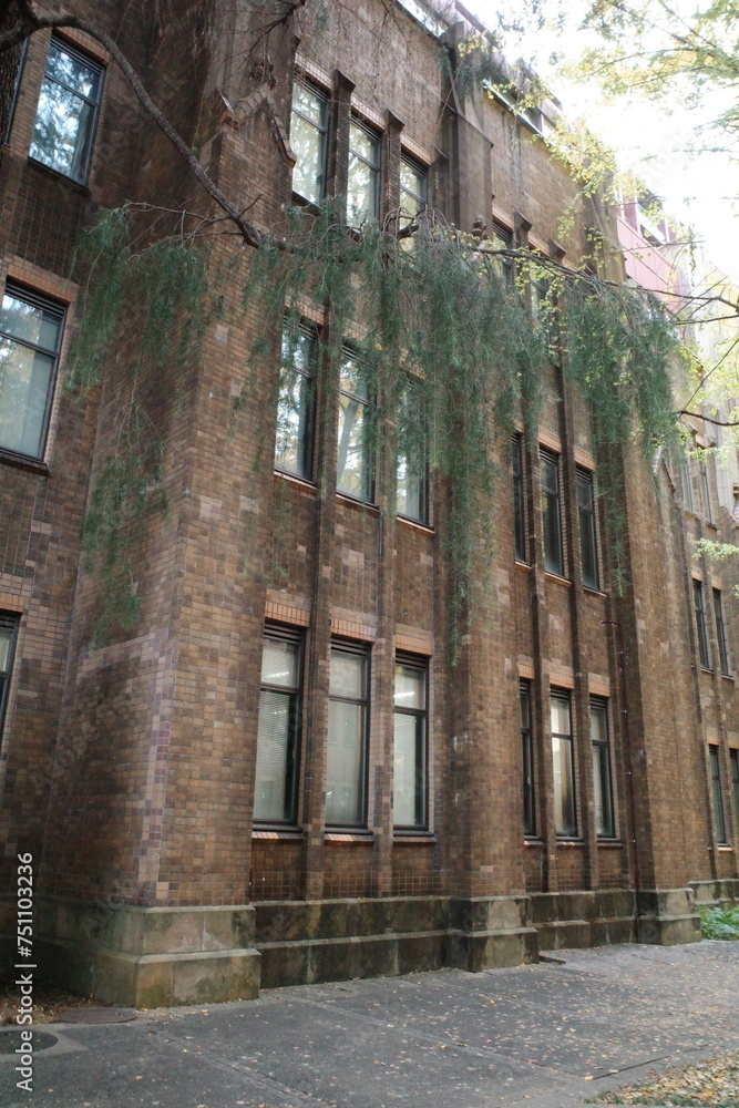 Japan, Tokyo, Tokyo University, Tokyo Univ., Architecture Japan, Tokyo, Tokyo University, Tokyo Univ., Architecture