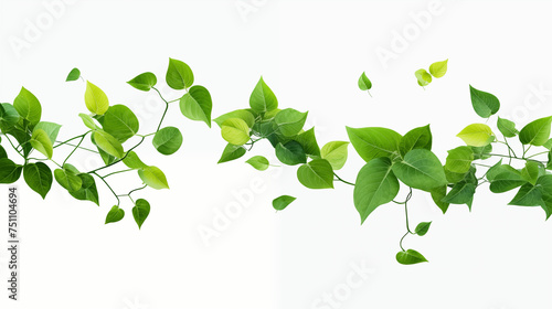 Realistic green leaves in flight Flying, transparent background (PNG). Nature's vibrant element. Generative AI.