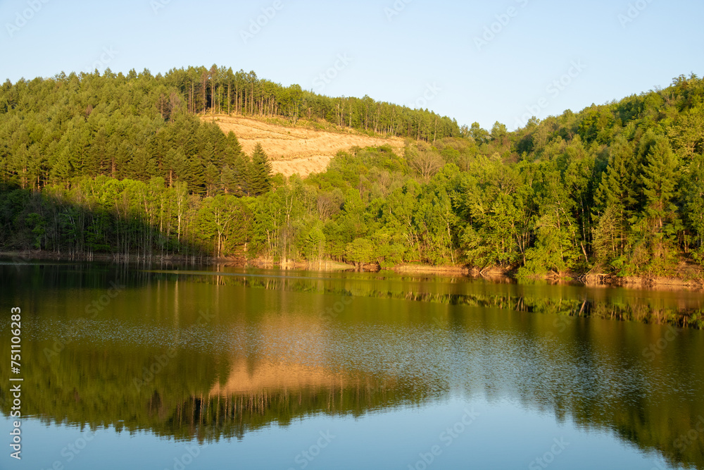 新緑を映す湖面
