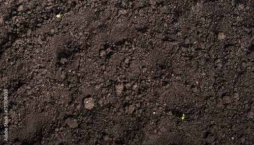 Black land for plant background. Top view. copy space; design natural concept