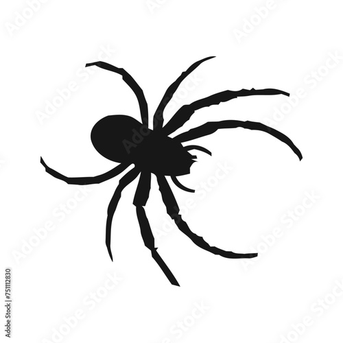 Spider silhouette vector
