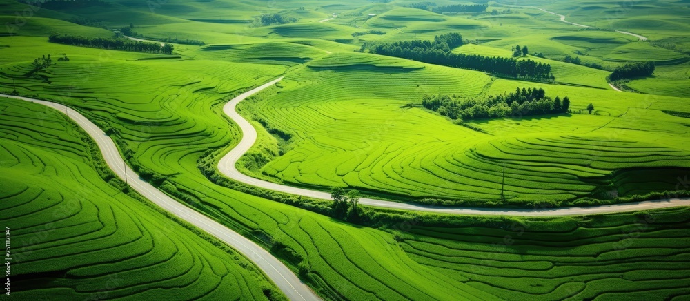 This aerial view showcases a lush green valley with vibrant fields stretching as far as the eye can see. The landscape is rich and fertile, offering a serene and tranquil scene from above.