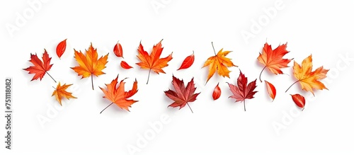 A cluster of red and orange autumn maple leaves are arranged on a white background. The leaves are shown in a flat lay view, with some appearing to fall.