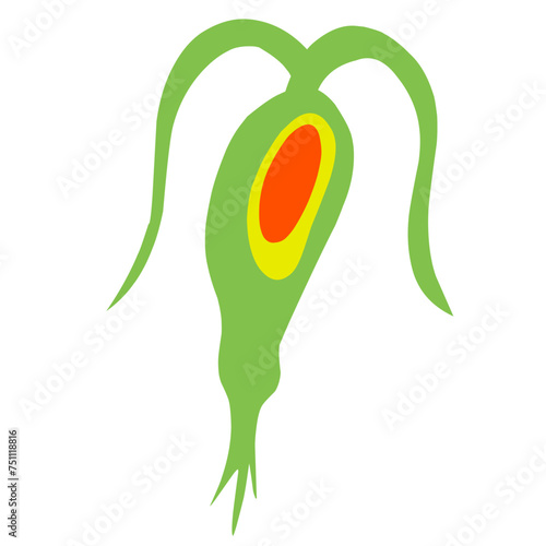 Copepod Microorganism Cartoon