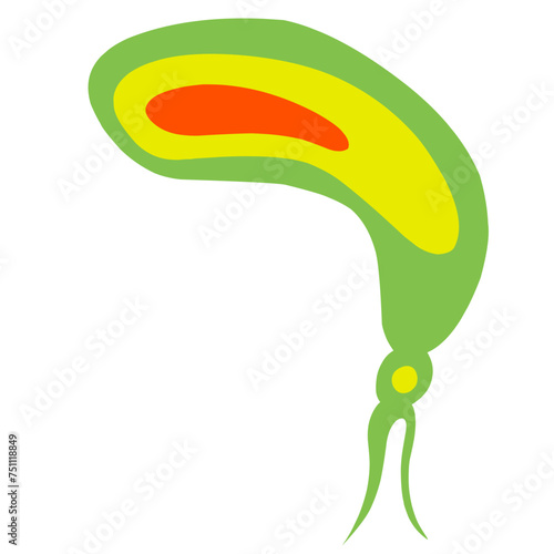Copepod Microorganism Cartoon