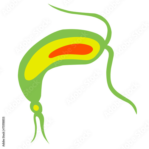 Copepod Microorganism Cartoon