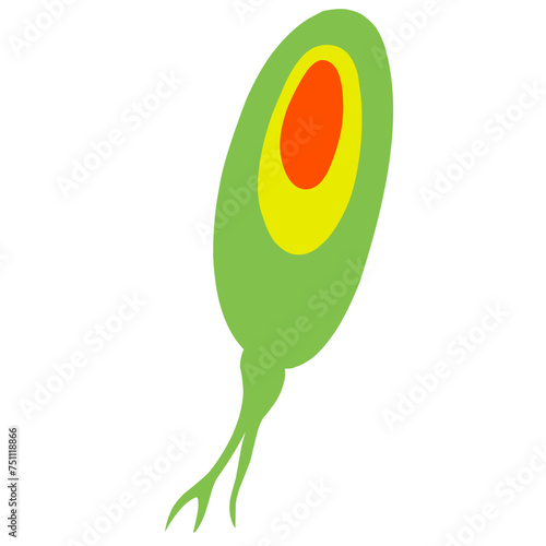Copepod Microorganism Cartoon