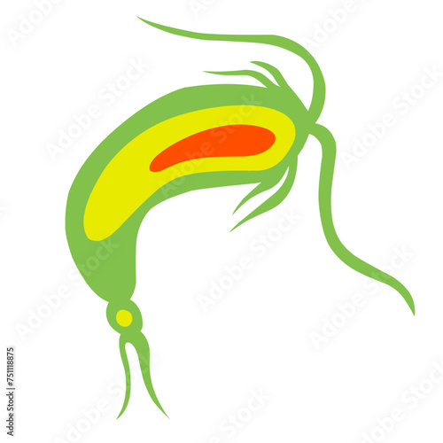 Copepod Microorganism Cartoon
