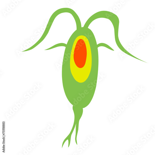 Copepod Microorganism Cartoon