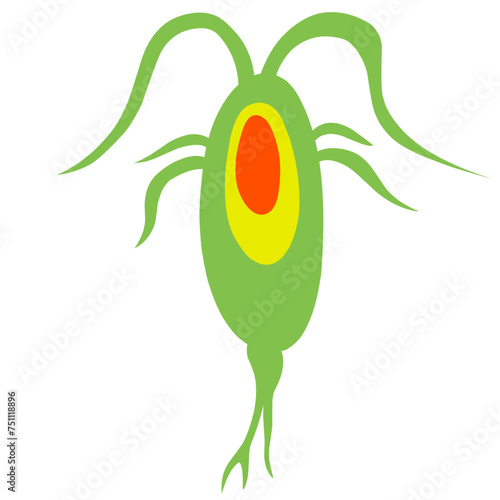 Copepod Microorganism Cartoon