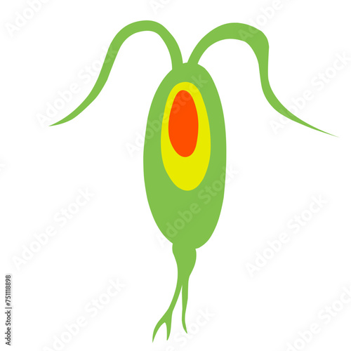 Copepod Microorganism Cartoon