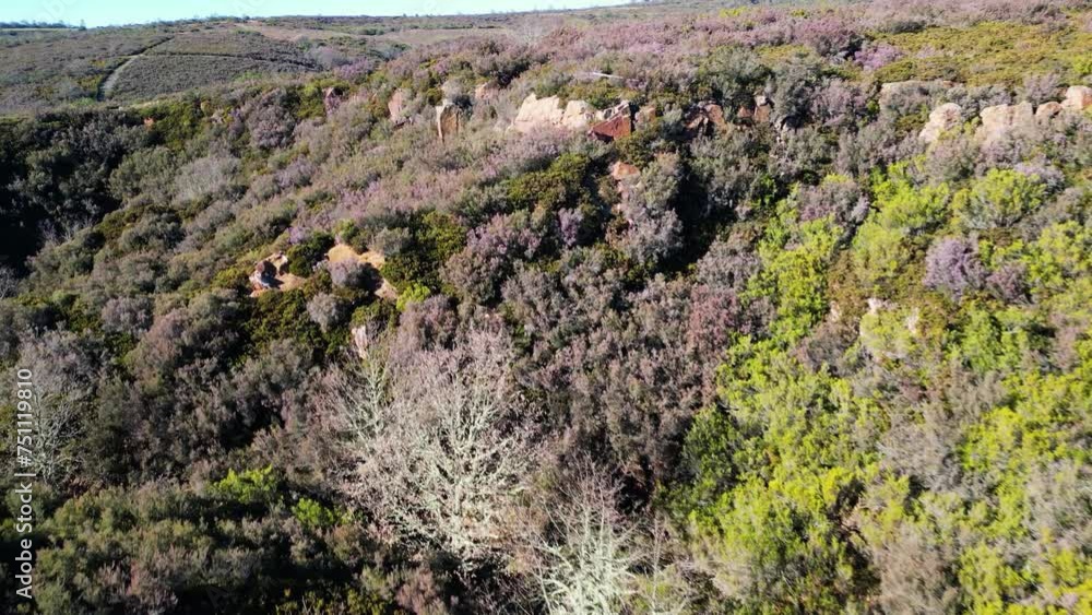 Dolly above overgrown Os Biocos mines in San Xoan de Rio Ourense Spain countryside Dolly above overgrown Os Biocos mines in San Xoan de Rio Ourense Spain countryside