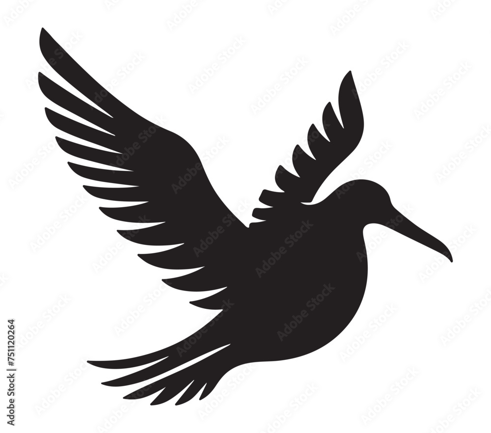 Fototapeta premium Black and white vector illustration of Albatross.