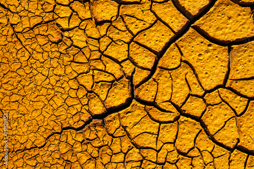 Cracked surface of dry ground in sunlight photo